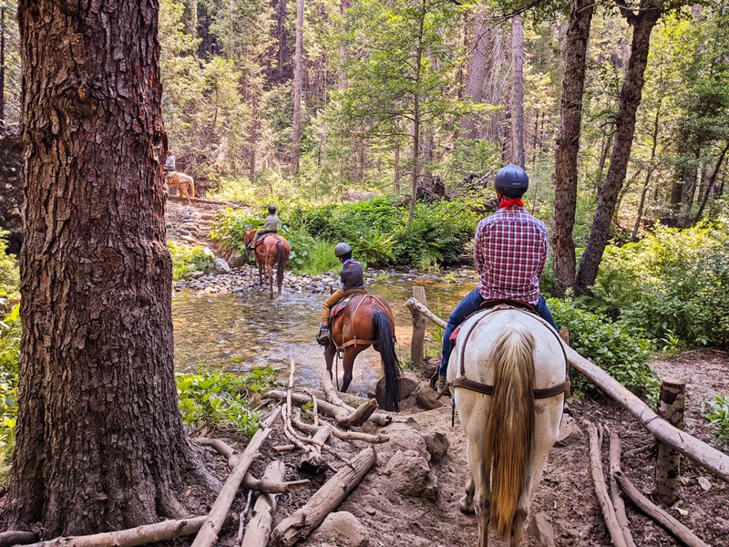 Taylor_Family_Riding_Horses_with_Yosemite_Trails_Horseback_Adventures_Sierra_National_Forest_1
