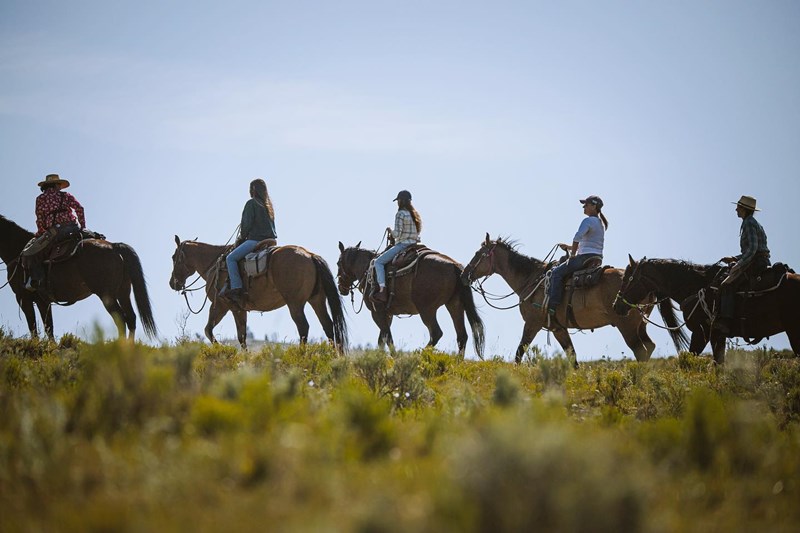 Riders on horses crossing a mountain pass