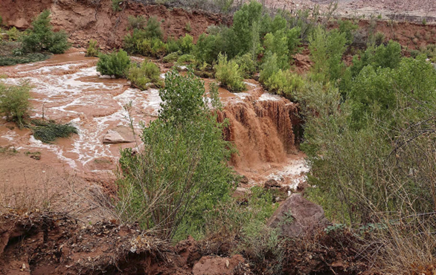 Waterfall_in_Grand_Canyon