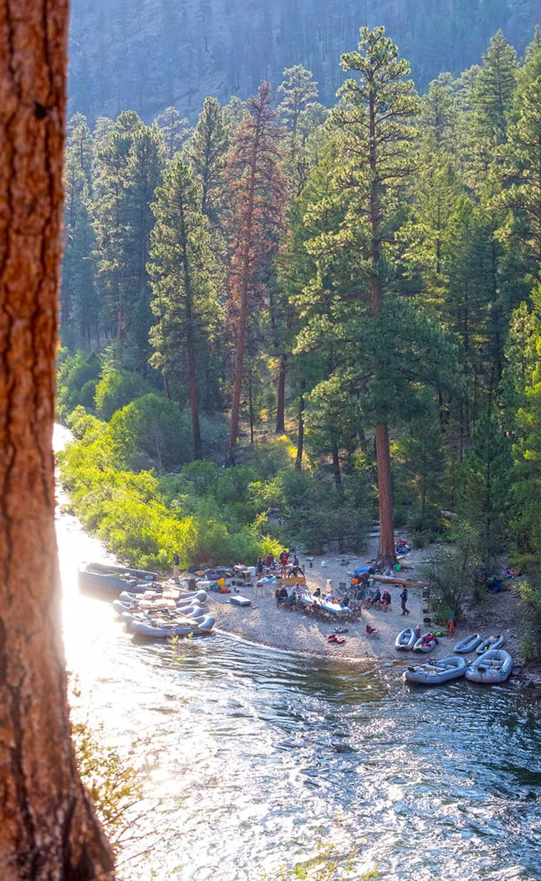a group of rafters with their boats pulled up on shore, with green trees surrounding them