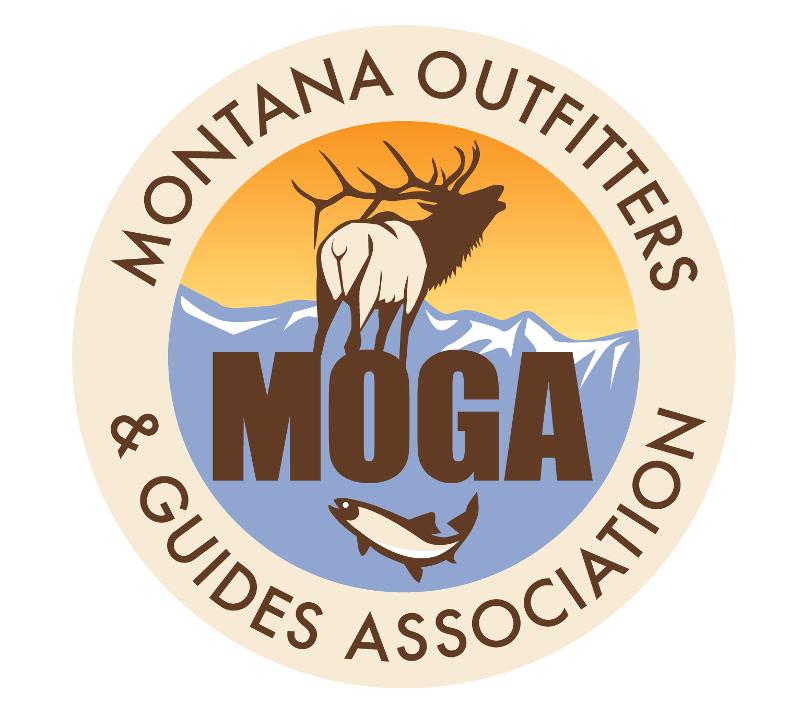 MOGA Jpeg
