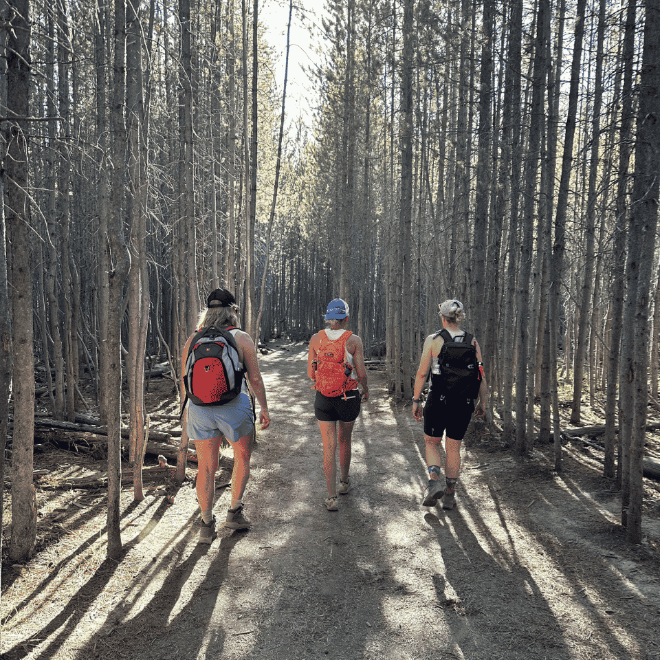 three women on a hike through the woods
